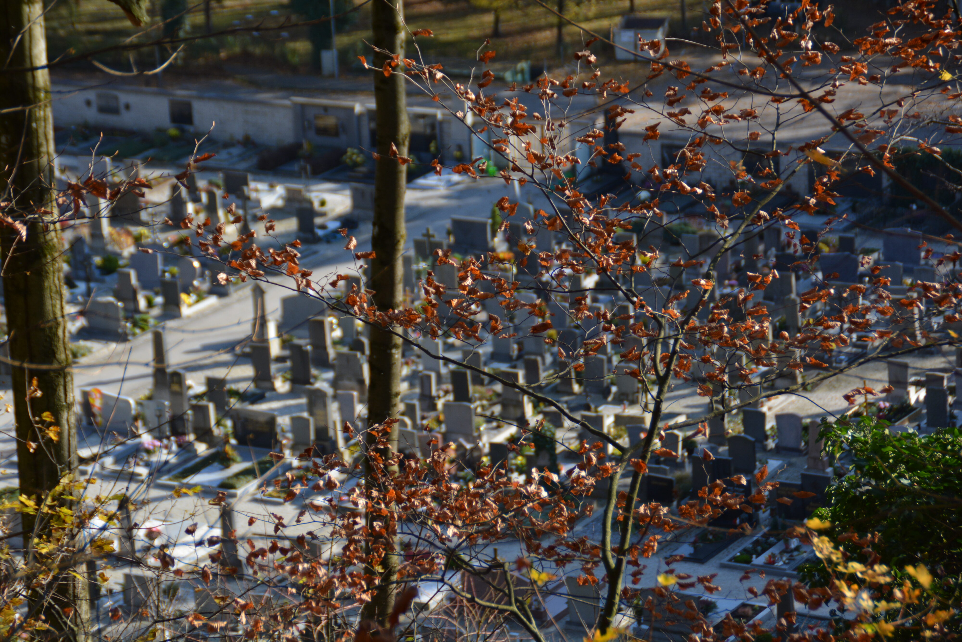 Alter Friedhof in Amstetten