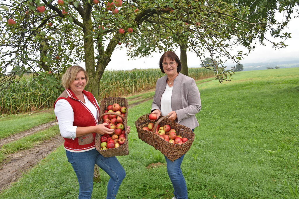 Die Leiterin der „Gesunden Gemeinde“ Gemeinderätin Claudia Weinbrenner und Umweltgemeinderätin Michaela Pfaffeneder mit Körben voller Äpfel auf einer Streuobstwiese